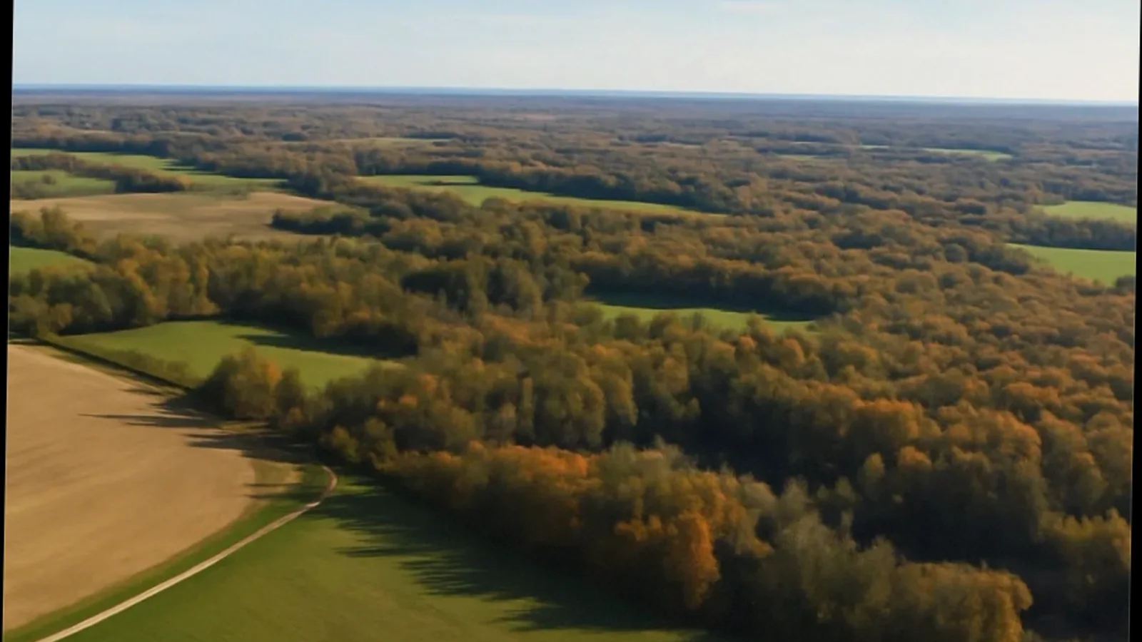 Michigan Land Buyers: Sell Land Fast for Cash Michigan land parcel